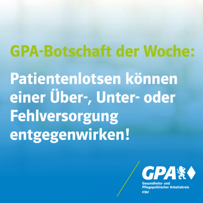 „Reintegration in das Erwerbsleben verbessern – durch Lotsen positive Effekte für den Arbeitsmarkt und die Sozialversicherungen nutzen“