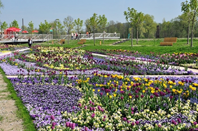 Das Gelände der Landesgartenschau (Bild Fotolia © Klaus Morscher)